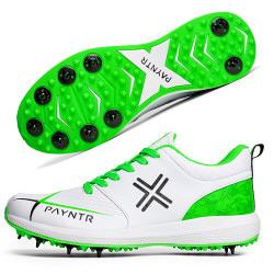 Payntr Cricket Shoes