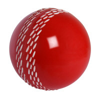 Gray-Nicolls Cricket Balls