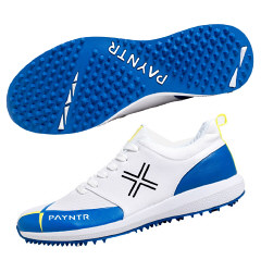 Payntr Cricket Shoes
