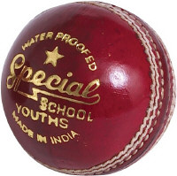 Readers Special School Junior Cricket Ball