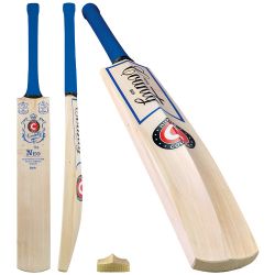 Hunts County Neo Style Junior Cricket Bat 2026
