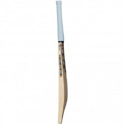 Gunn & Moore Rival DXM 404 Cricket Bat 2026