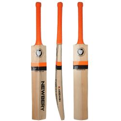 Newbery Master 100 5 Star Hammer Edge Cricket Bat 2024